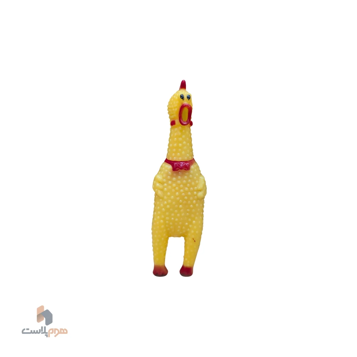 مرغ نالان کوچک